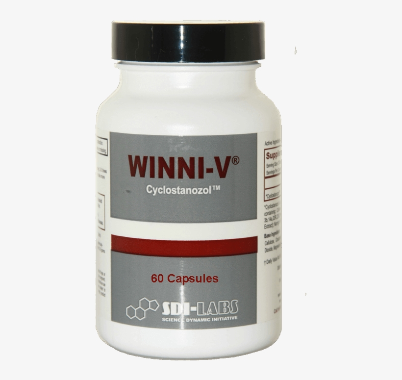 Winni-v - Winni V, transparent png #9128311