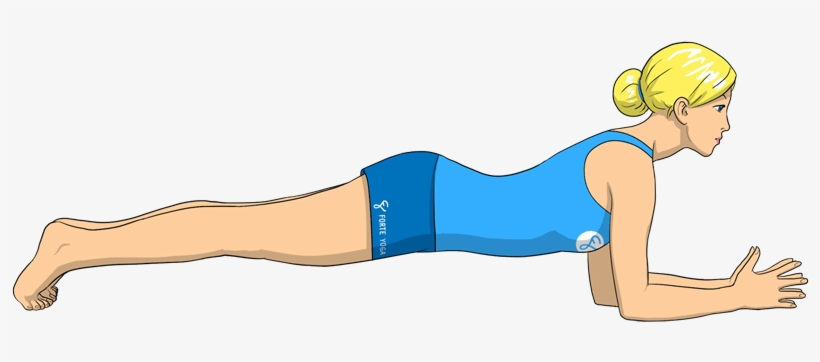 Dolphin Plank Yoga Pose Forte - Plank, transparent png #9128695