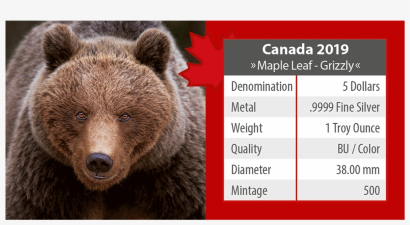 Ibca201956 5 - Maple Leaf, transparent png #9129134