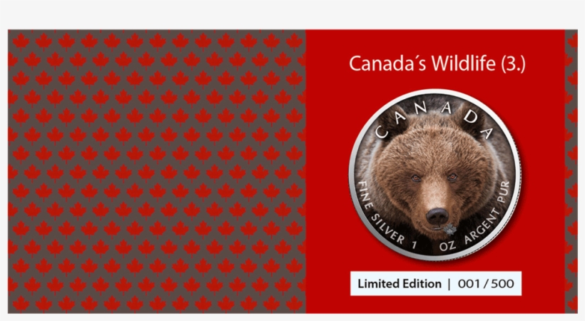 Ibca201956 4 - Punxsutawney Phil, transparent png #9129318