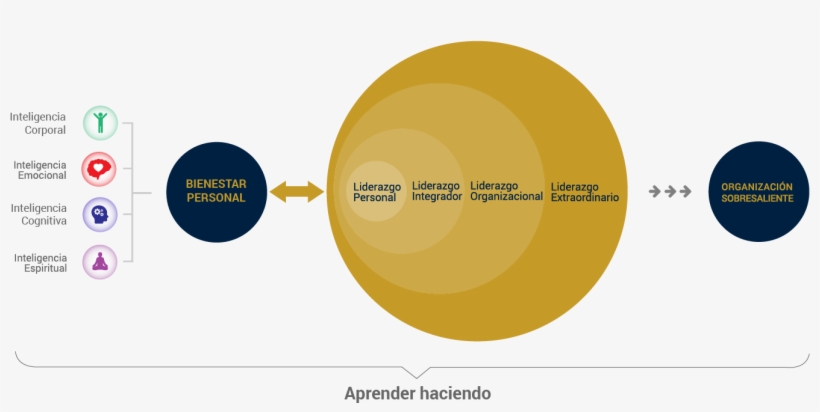 Cómo Lo Hacemos - Circle, transparent png #9131627