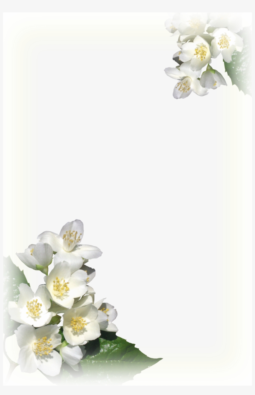 Desenhos Para Ebd - Moldura Frame Flores Brancas, transparent png #9132053