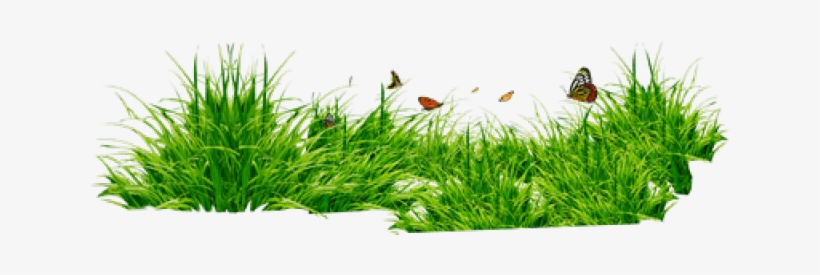Png Format Grass Png, transparent png #9132581