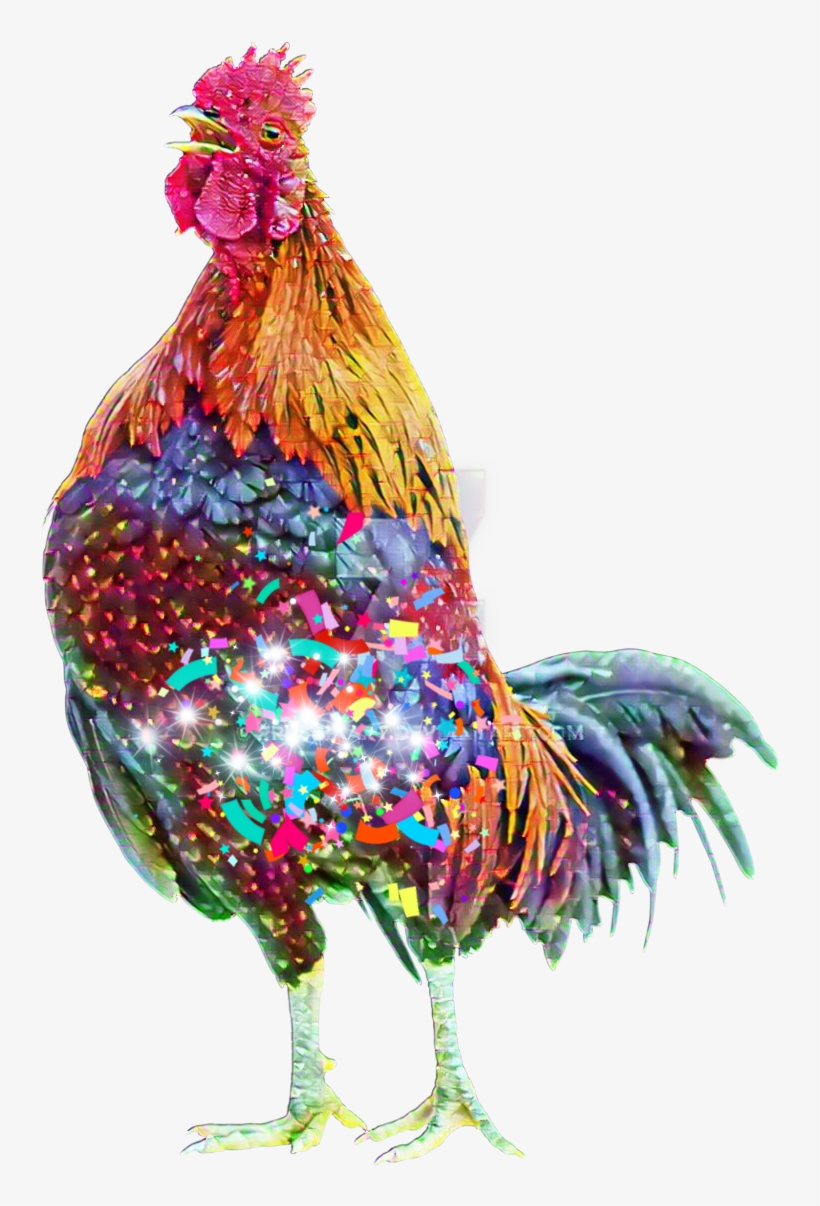 Rooster, transparent png #9133244