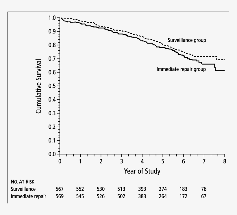 Cumulative Survival According To Treatment Group In - Document, transparent png #9133794