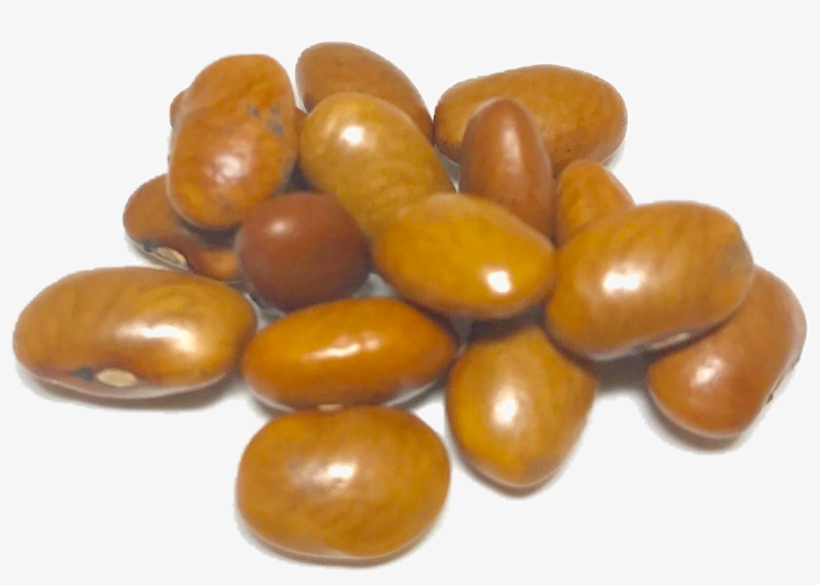 Shady Side Farm - Peanut, transparent png #9134946