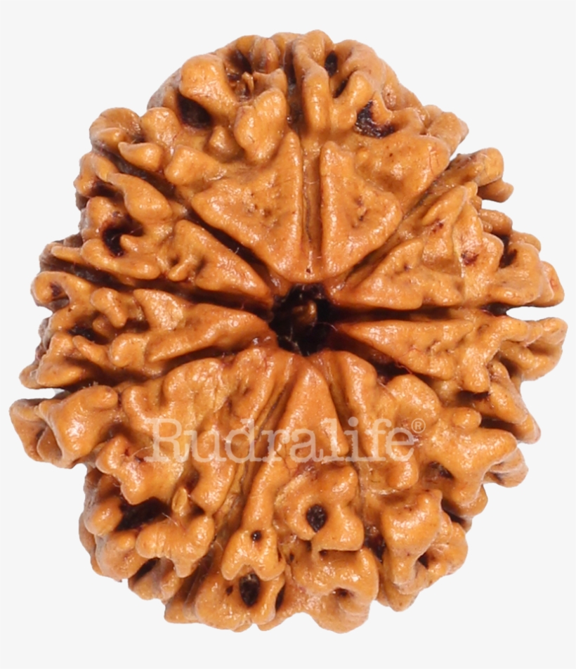 Click To Zoom - Chocolate, transparent png #9136020