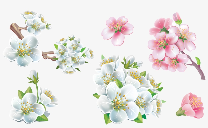 Png Flowers Hd, transparent png #9136784