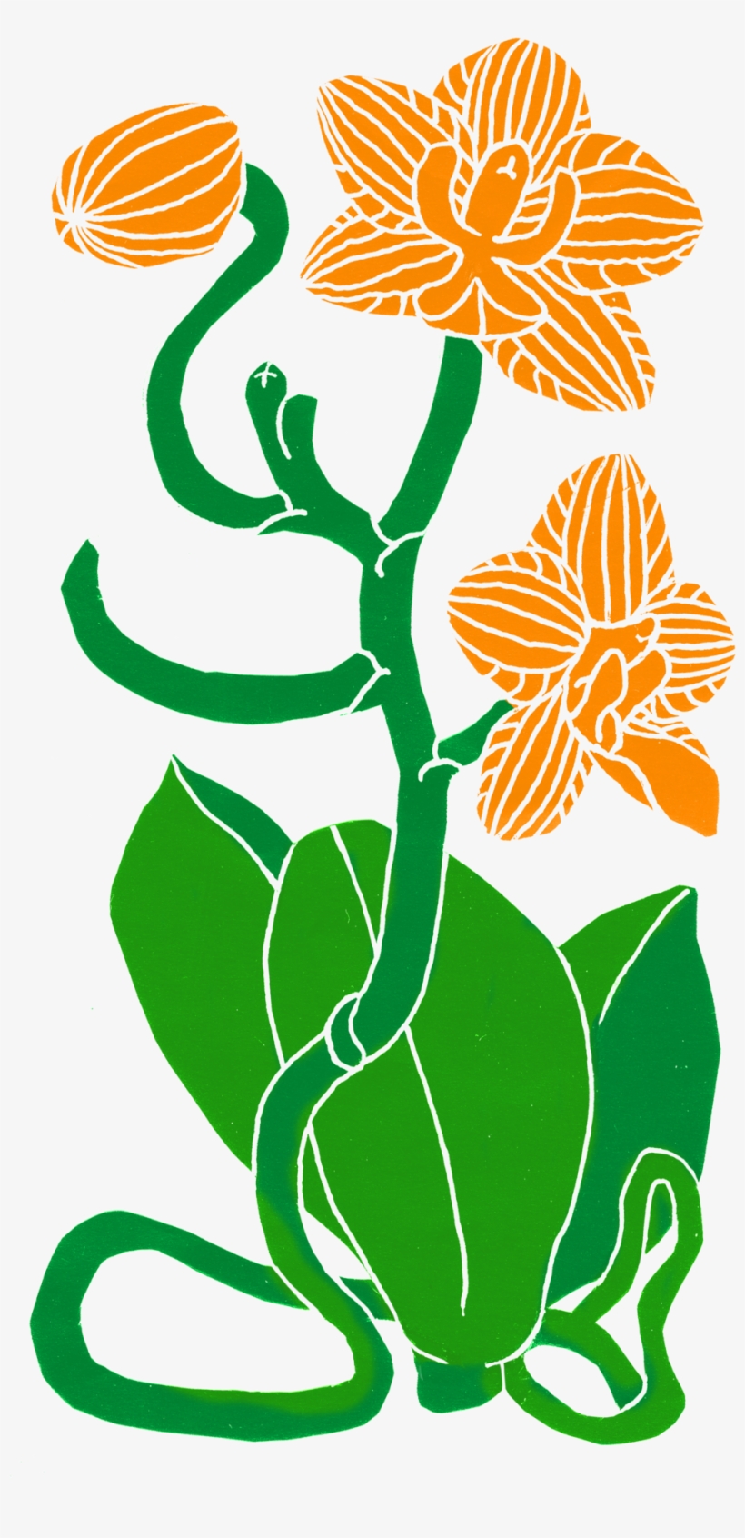 Orchid Plant, transparent png #9137006