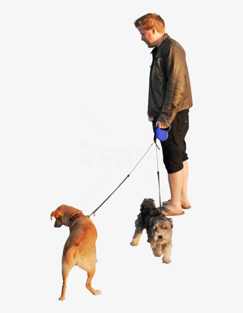 Dogs Beach Sunset Png - People Walking Dog Png, transparent png #9137074
