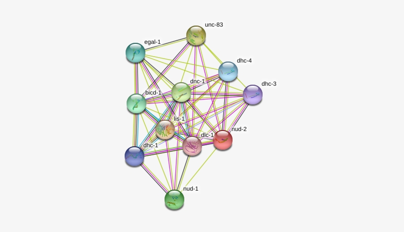 Circle, transparent png #9137276