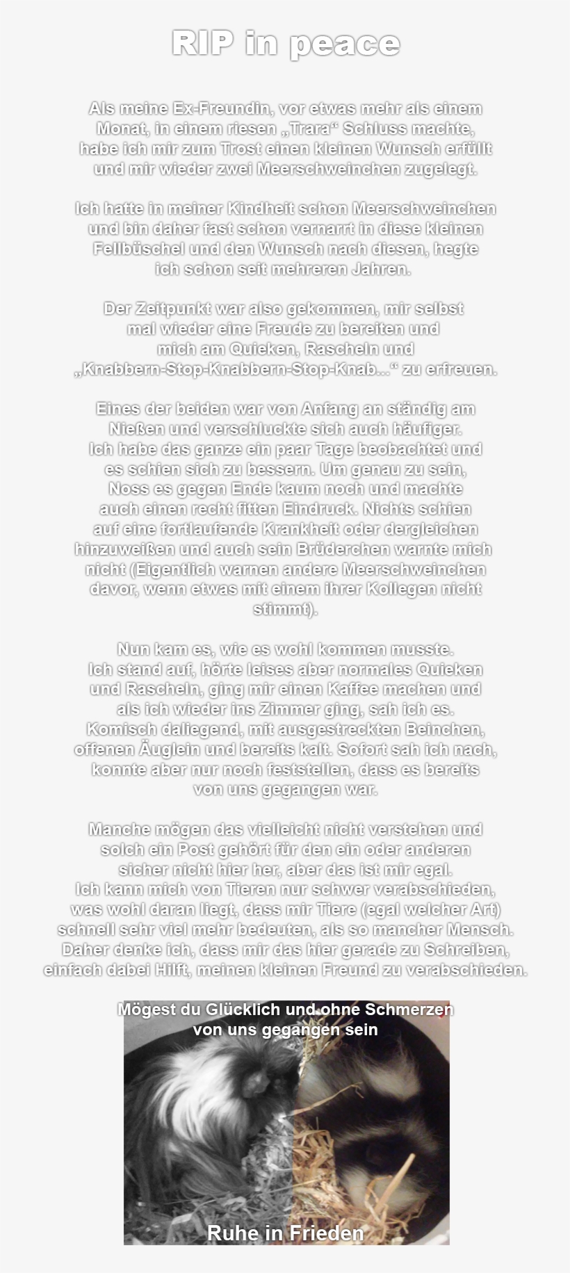 Pr0gramm - Document, transparent png #9137668