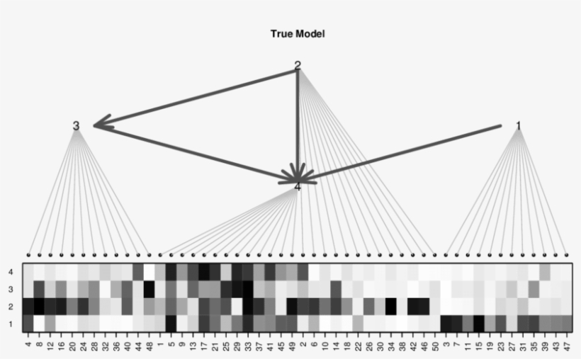 The Bold Dark Grey Arrows Show The Actions Graph, The - Cable-stayed Bridge, transparent png #9138601