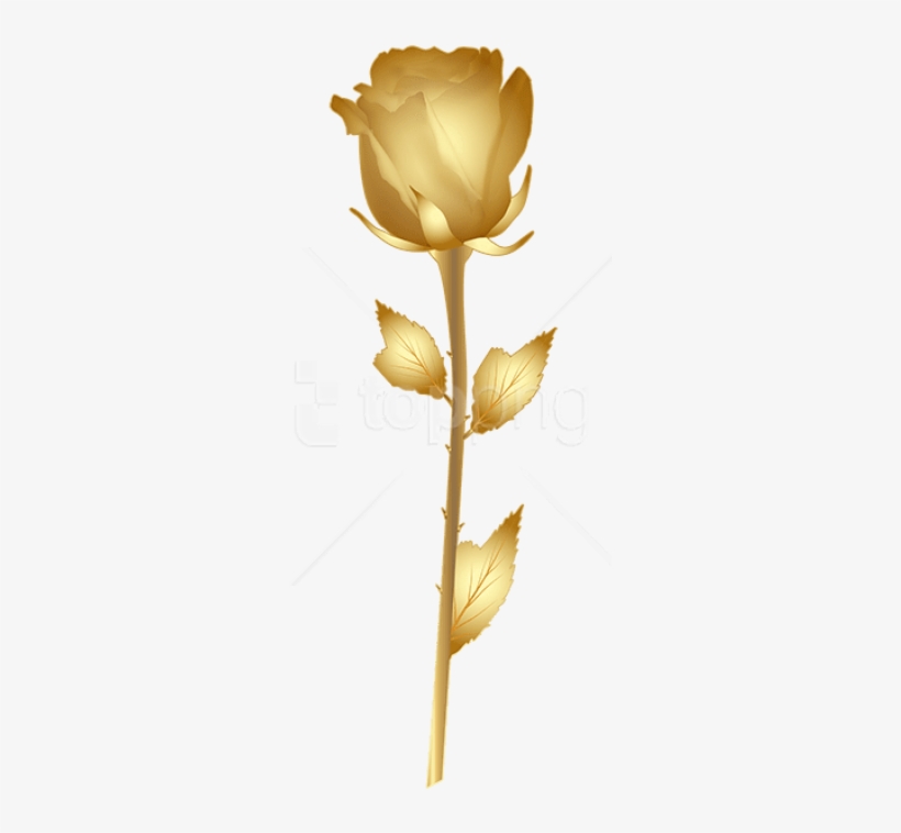 Free Png Download Beautiful Gold Rose Png Images Background - Rose Gold Rose Clipart, transparent png #9139237