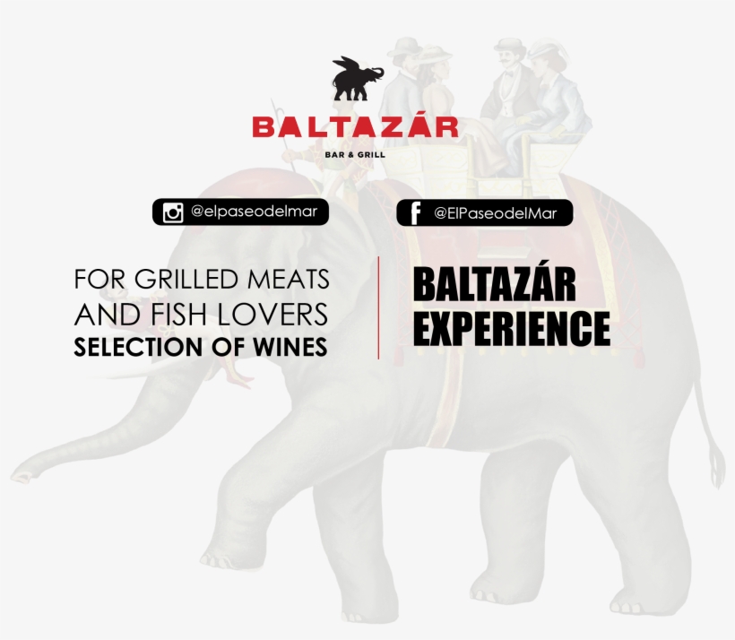 Fondo Elefante En - Funny Warning Signs, transparent png #9139417