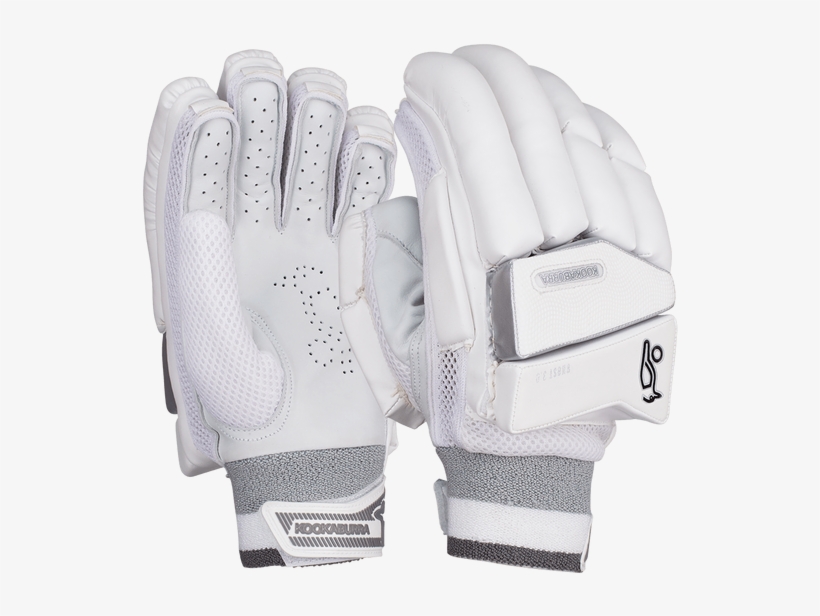 Image - Kookaburra Cricket Bats, transparent png #9141085