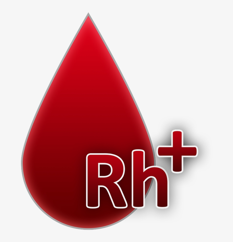 Blood Group,rh Factor Positive,blood,a Drop Of Blood,blood - Grupo Sanguineo Ab Positivo, transparent png #9141520