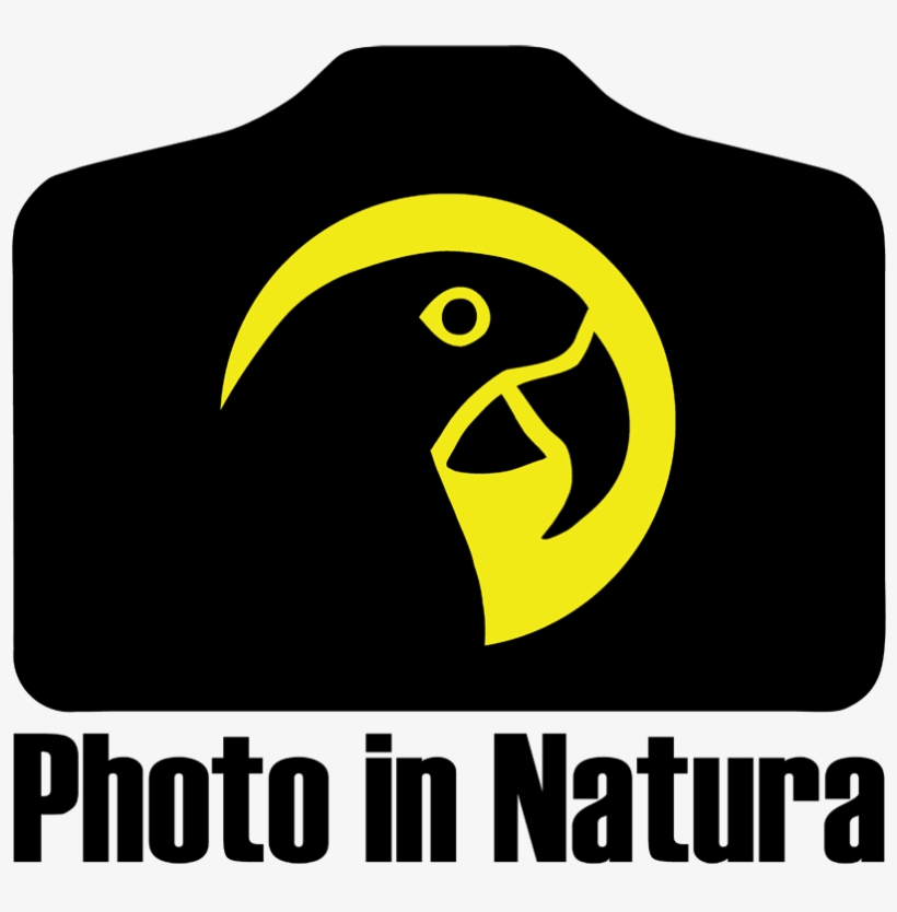 “i Was Particularly Impressed With The Quality And - Emblem, transparent png #9141787