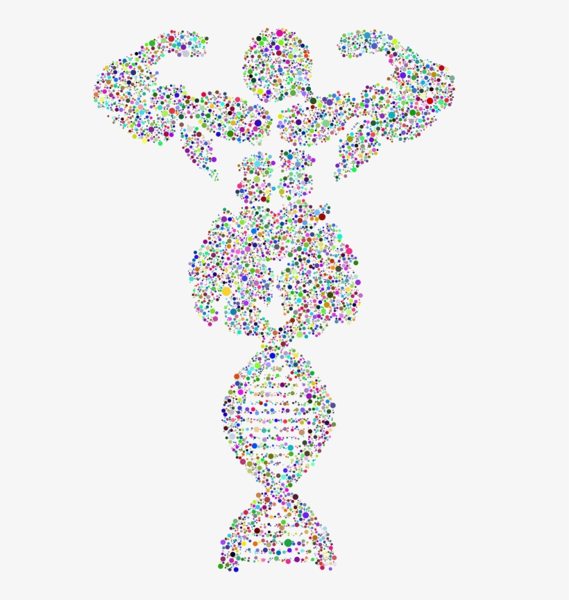 Bodybuilder Dna Circles Prismatic - Art, transparent png #9142002
