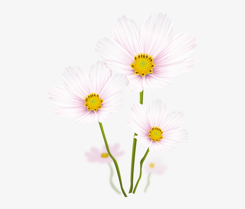 Tubes Fleurs Colorful Pictures, White Flowers, Leaf - ดอกไม้ สี ขาว Png, transparent png #9142365