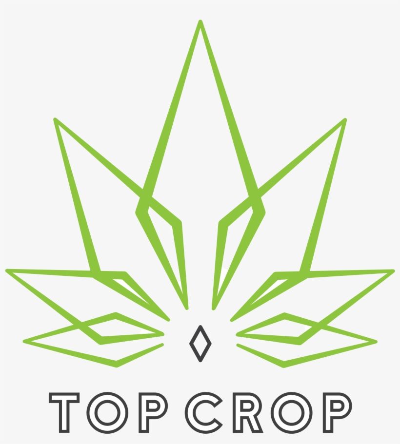 Top Crop Eugene, transparent png #9144033