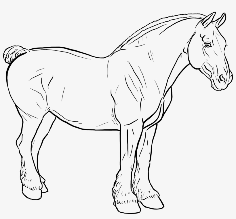 Bunny - Mane, transparent png #9145885