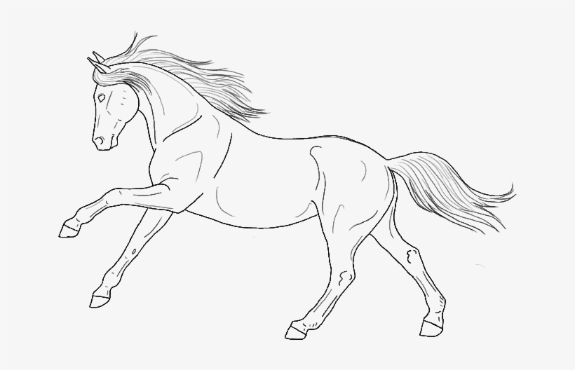 Gaited Horse Lineart - Line Art Horse Png, transparent png #9145920