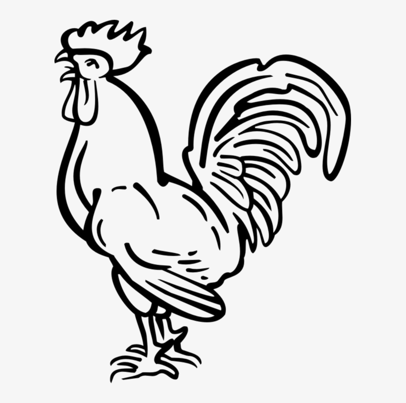 Tattoo Chicken Haan Rooster Download Hq Png - Rooster Line Drawing, transparent png #9146193