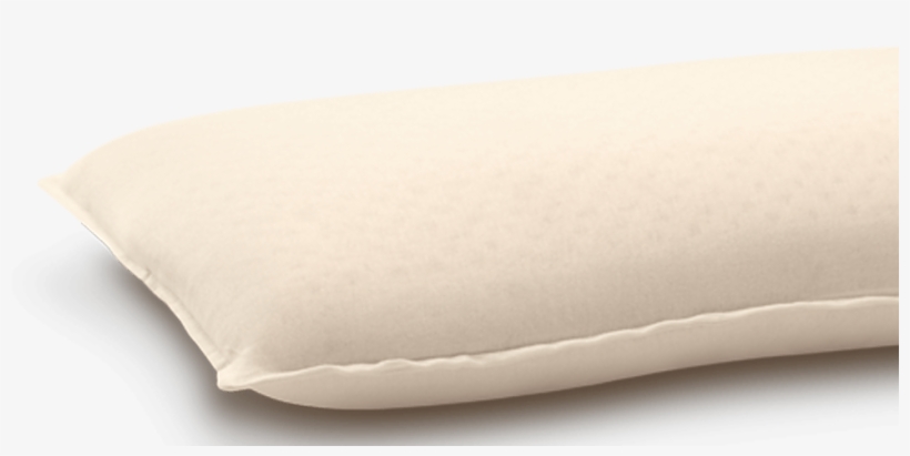 Learn More Life Companion Pillow - Mattress Pad, transparent png #9146525