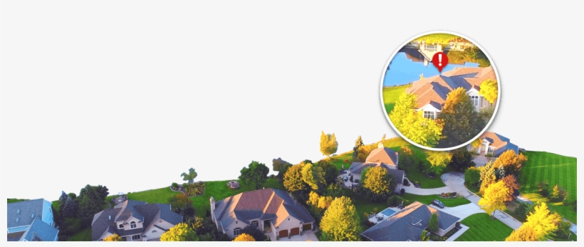 The Homeowners - Tree, transparent png #9146554