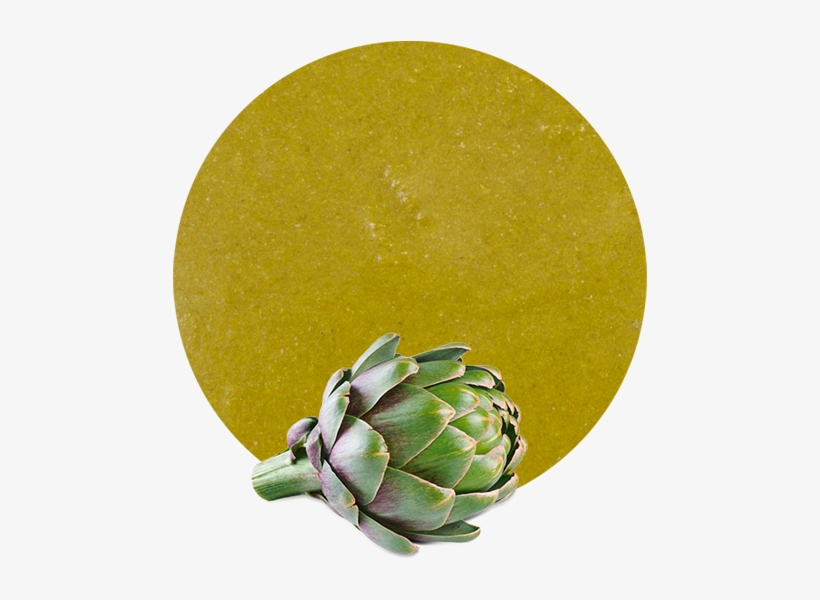 Artichoke Puree - Artichoke, transparent png #9146960