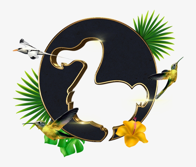 0 Replies 1 Retweet 4 Tweety Sa Páčili - Duck, transparent png #9148823