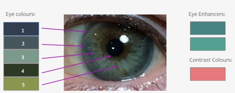 1000 X 379 1 - Close-up, transparent png #9149577