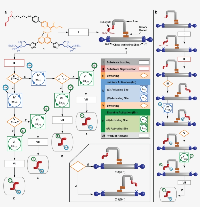 Programmable Operation Of A Molecular Machine That - Chemical Synthesis, transparent png #9149684