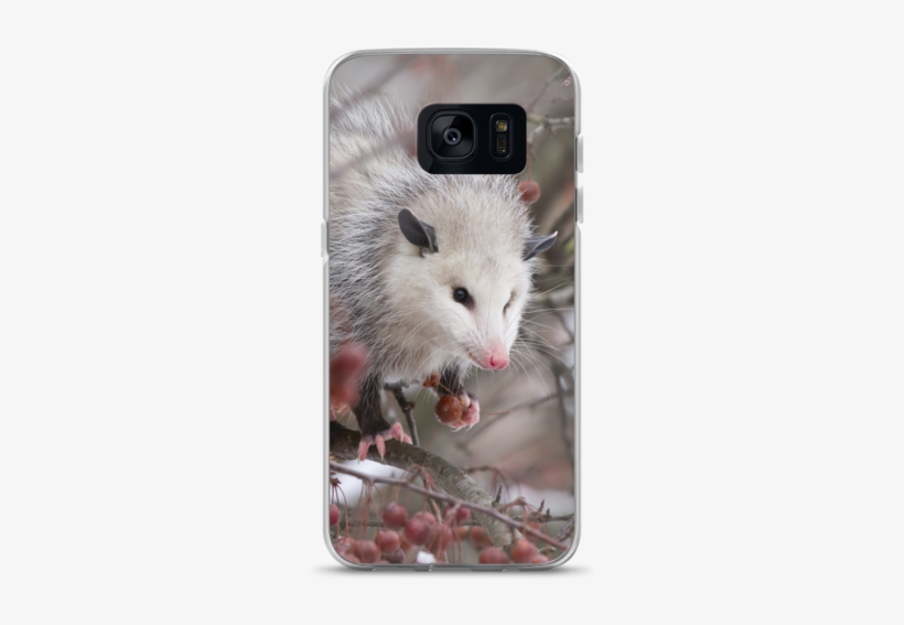 Snowpossum ☆ Samsung Case - Possum, transparent png #9149840