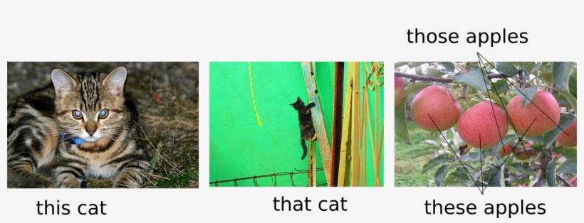 This Cat - Starapple, transparent png #9149921