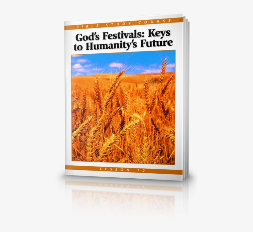 Wheat, transparent png #9150123