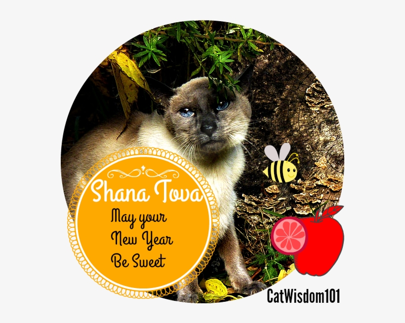 Rosh Hashanah Pet Owners - Label, transparent png #9150157