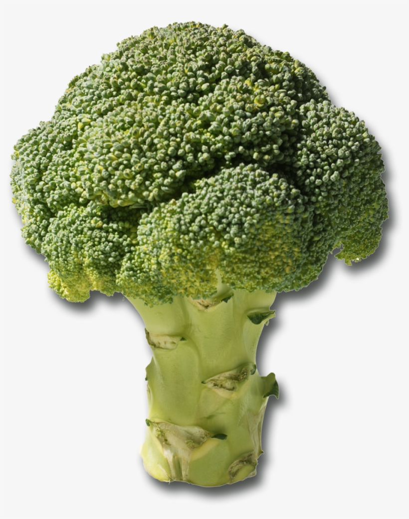 Tronc De Brocoli Une Fois Qu'il Est Pelé, Le Tronc - Plants That Grow On Loamy Soil, transparent png #9153310