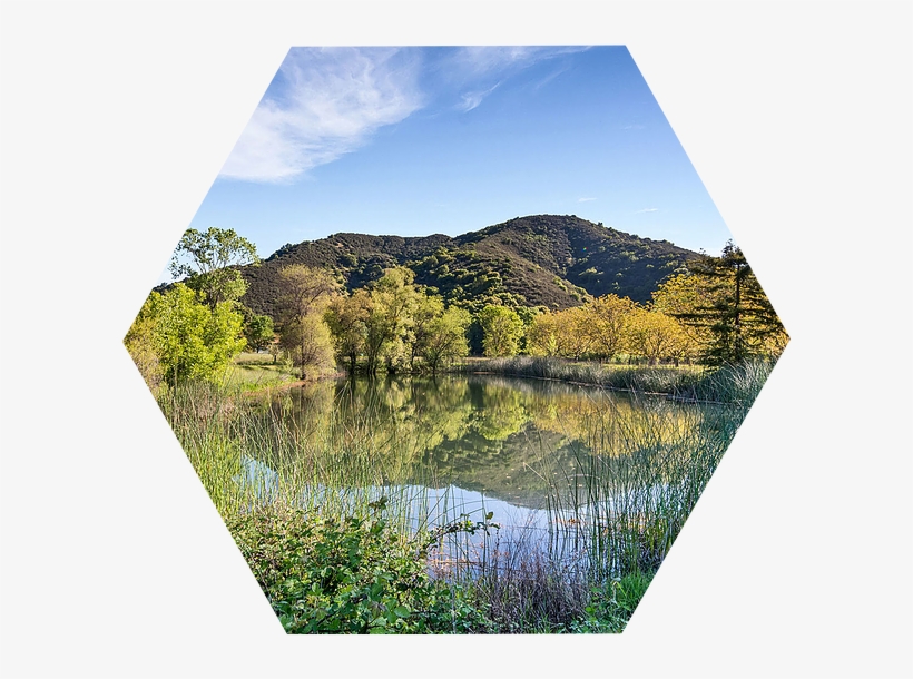 Land-pond1 - Reflection, transparent png #9154732