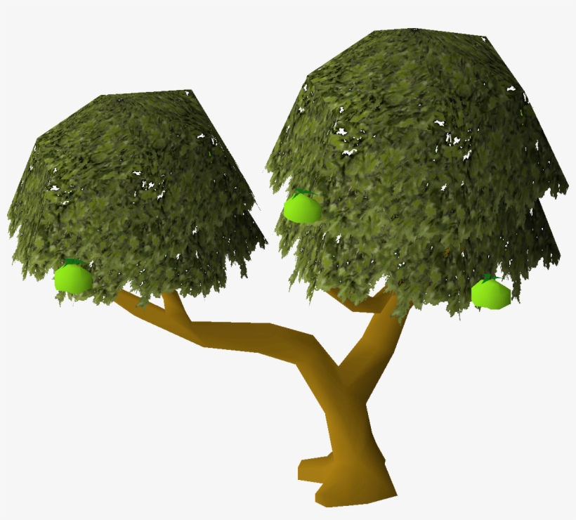 Apple Tree Osrs Wiki - Oak, transparent png #9155178
