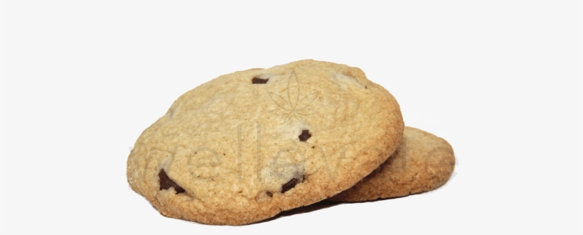 Chocolate Chip Cookie, transparent png #9155496