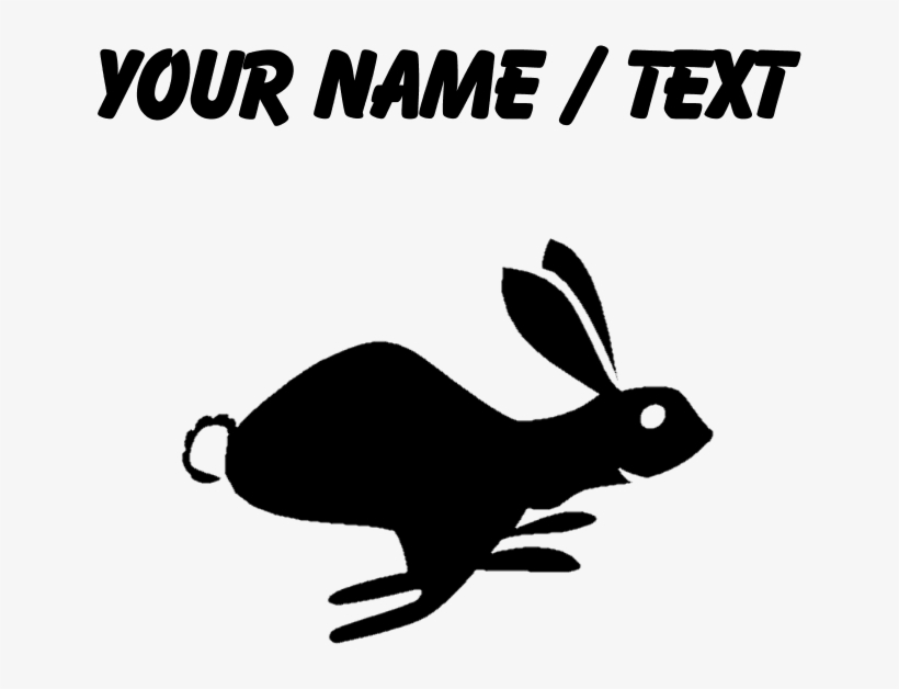 Favorite - Domestic Rabbit, transparent png #9155993