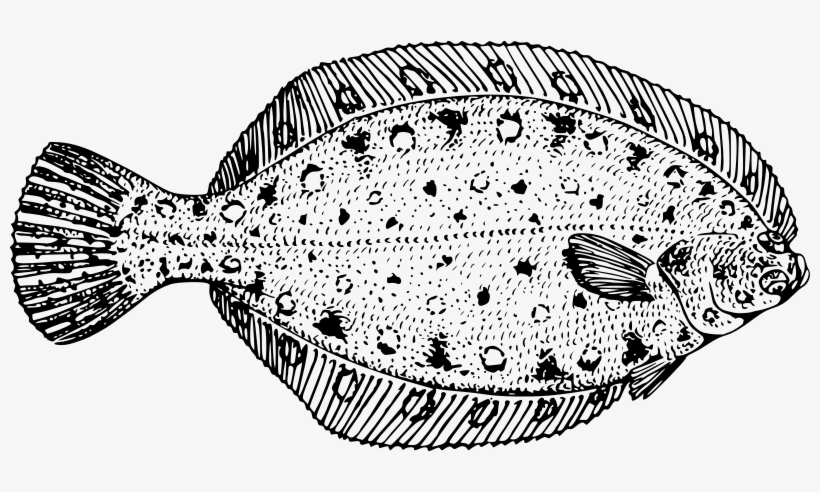 Why A Bowl Of Beans Could Be Just As Good As Fish On - Flounder Black And White, transparent png #9156425