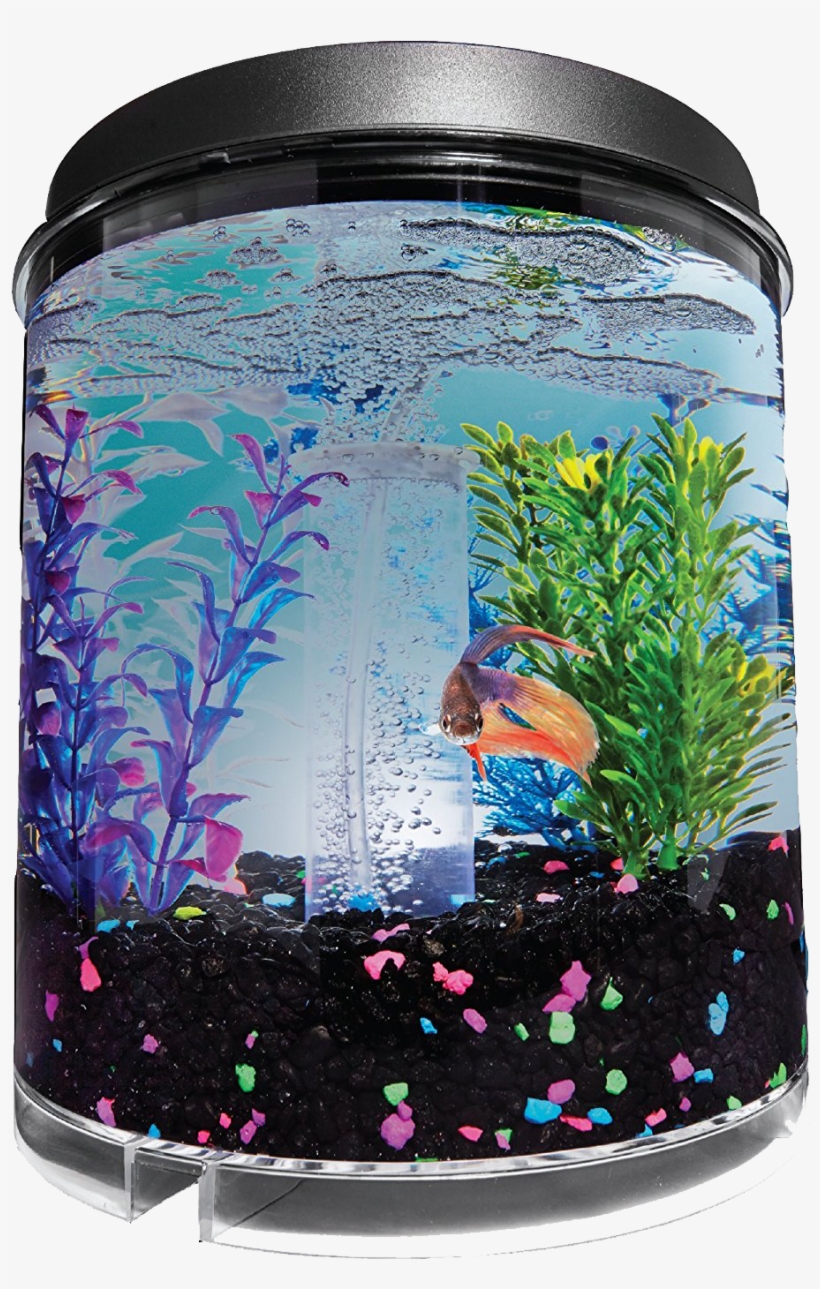 Imagitarium 2 Gallon Fish Tank - Aquarium, transparent png #9156881