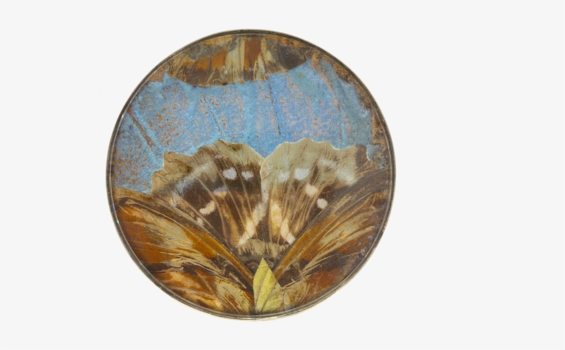 1920s Butterfly Wing Brooch - Circle, transparent png #9156979