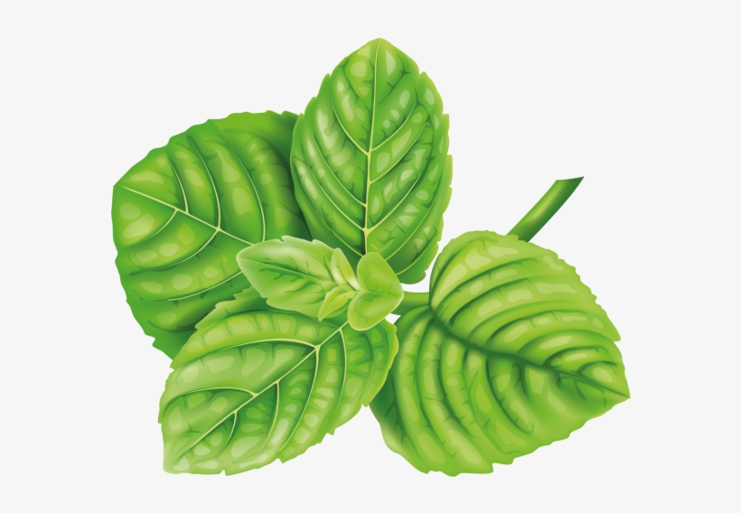 Mint - Lime Painting Png, transparent png #9157083
