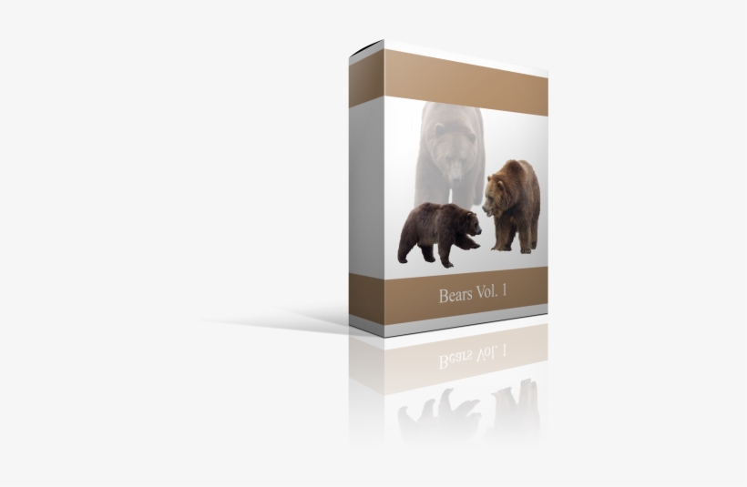 On Sale - Kodiak Bear, transparent png #9157252