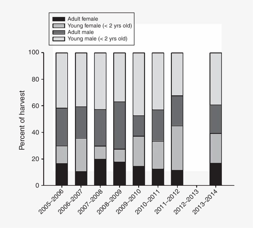 The Sex And Age Distribution Of Harvested Wolverines - Pattern, transparent png #9157281