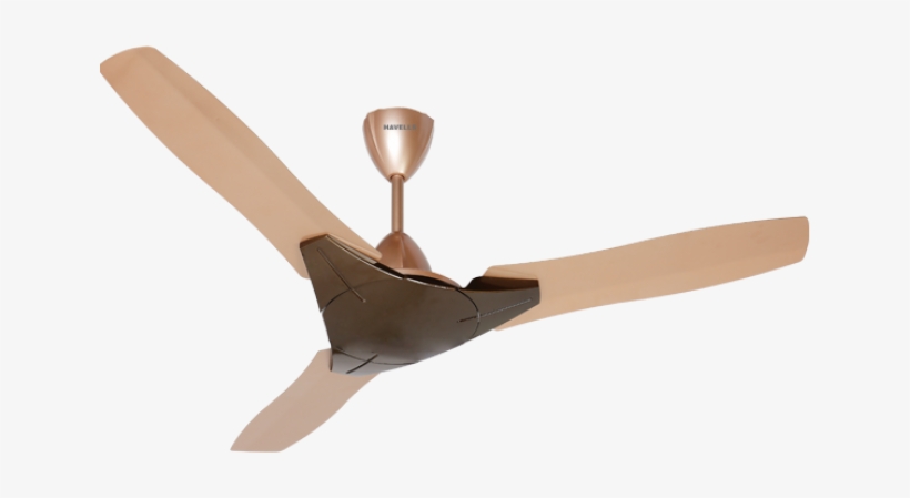 Trioka Honey-650x500 - Havells Fan New Model, transparent png #9157465